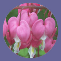Spring In Maine stickers