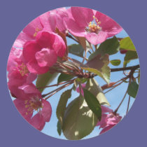 Spring In Maine stickers