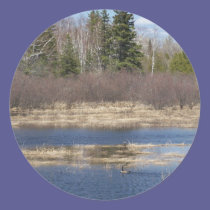 Spring In Maine stickers