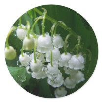 Spring In Maine Round Stickers