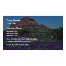 Spring In Papago Park flowers Business Card