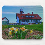 Spring in Portland Maine Mousepad mousepads