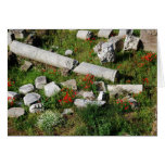 Spring in Rome Card