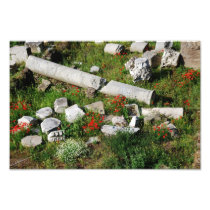 Spring in Rome Photo