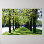 Spring in the city poster posters