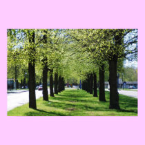 Spring in the city poster posters