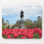 Spring in the Public Garden mousepads