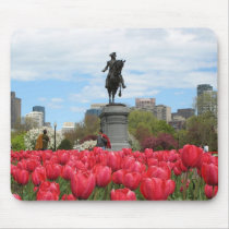 Spring in the Public Garden mousepads by litabug Spring in the Public Garden mousepads