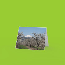 Spring in the Valley cards