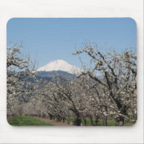 Spring in the Valley Mousepad mousepads