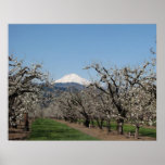 Spring in the Valley Oil Painting Poster