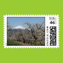 Spring in the Valley Postage stamps