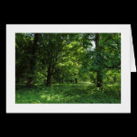 Spring in the Woods 01 (bordered) cards