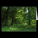 Spring in the Woods 01 cards
