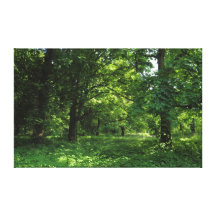 Spring in the Woods 01 Gallery Wrapped Canvas