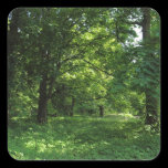 Spring in the Woods 01 stickers