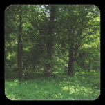 Spring in the Woods 02 stickers