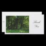 Spring in the Woods 02 - Thank You photo cards