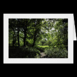 Spring in the Woods 03  (bordered) cards
