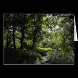 Spring in the Woods 03 cards