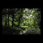 Spring in the Woods 03 posters
