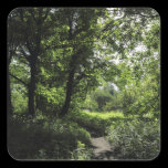 Spring in the Woods 03 stickers