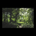 Spring in the Woods 03 canvas prints