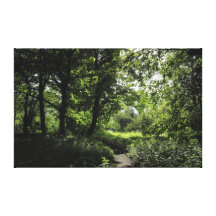 Spring in the Woods 03 Stretched Canvas Prints