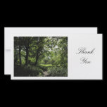 Spring in the Woods 03 - Thank You photo cards