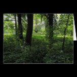 Spring in the Woods 04 cards
