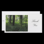 Spring in the Woods 04 - Thank You photo cards