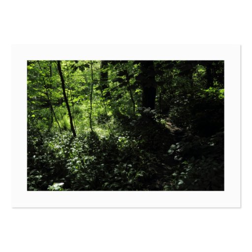 Spring in the Woods 05 (Bordered) Business Card Templates