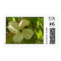 SPRING IN VIRGINIA postage