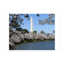 Spring in Washington, DC posters by KBooker Spring in Washington, DC posters
