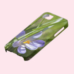 Spring casemate cases