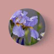 Spring Iris and Daisy Flowers buttons