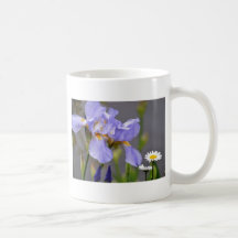 Spring Iris and Daisy Flowers Mugs