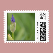 Spring Iris stamps