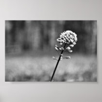 Spring is coming! posters
