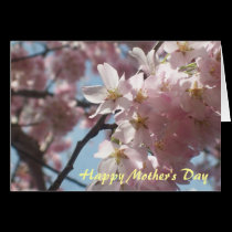 Spring is for Mothers General M-Day Card cards