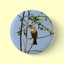 Spring is here!!! buttons
