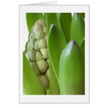 Spring is Here cards