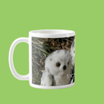 Spring is Here! mugs