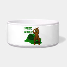 Spring Is Here Pet Food Bowls