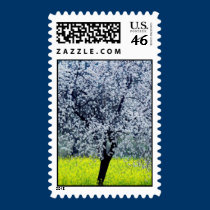 Spring is here stamps