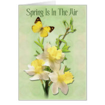 Spring Is In The Air cards