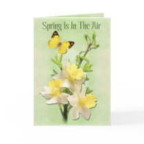 Spring Is In The Air cards by Spice Spring Is In The Air cards
