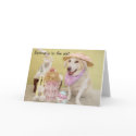 Spring is in the air! cards