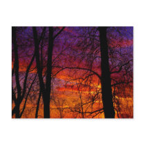 Spring is just around the Corner postcards by sukimerk Spring is just around the Corner postcards