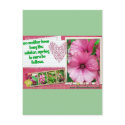 Spring Is Sure To Follow postcard